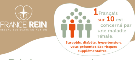Les reins c’est vital !