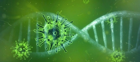 Corona Virus stade 3